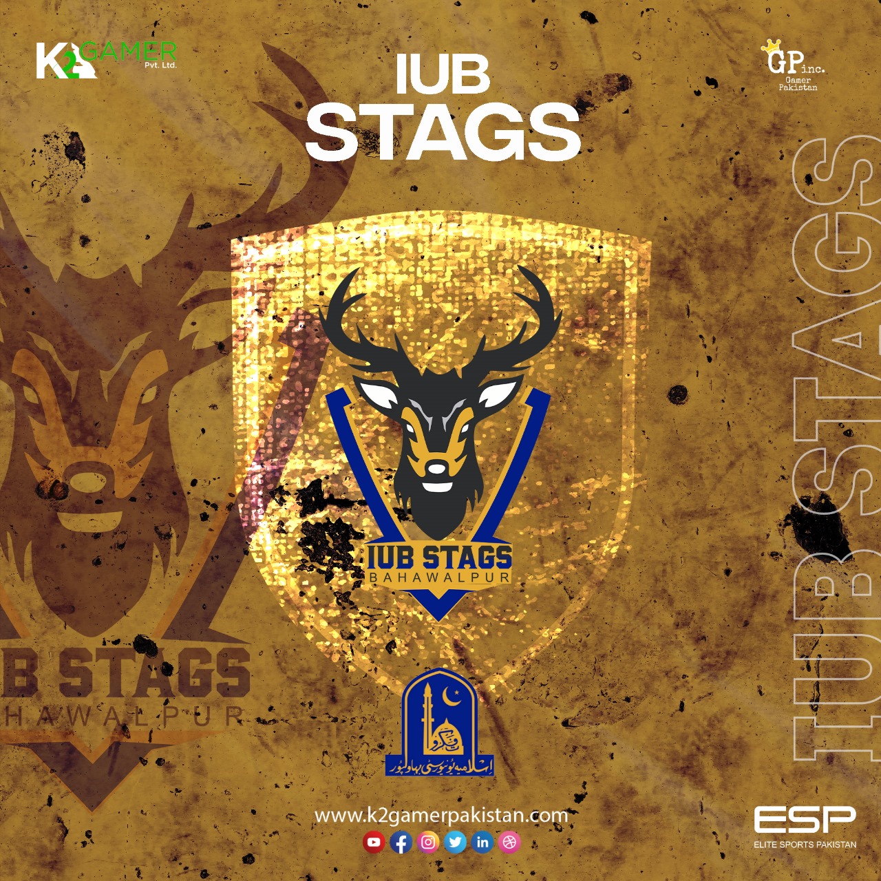 The Official Team logo Of Islamic University Bahawalpur